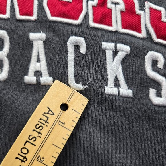 Arkansas Razorbacks Sweater Hoodie Mens XL/2XL Gray Pullover NCAA College Casual - Picture 4 of 10